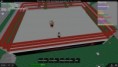 /album/dsf-retro-show-2-13-2011/robloxscreenshot02132011-184555797-jpg1/