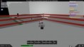 /album/dsf-retro-show-2-13-2011/robloxscreenshot02132011-184621598-jpg1/
